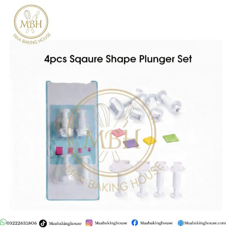 4pcs Square Shape Plunger Set