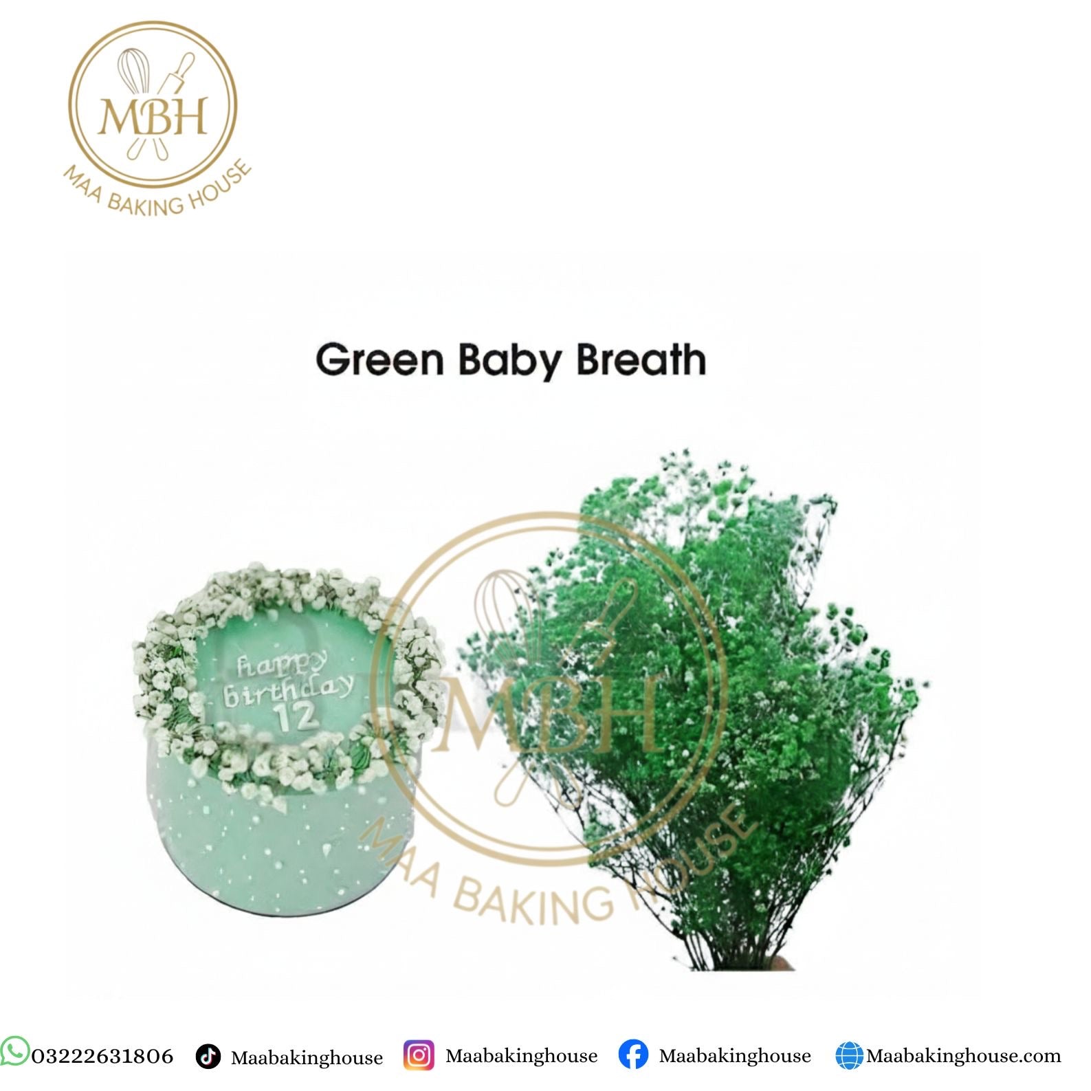 Green Baby Breath