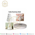 Cake Dummy 14x2
