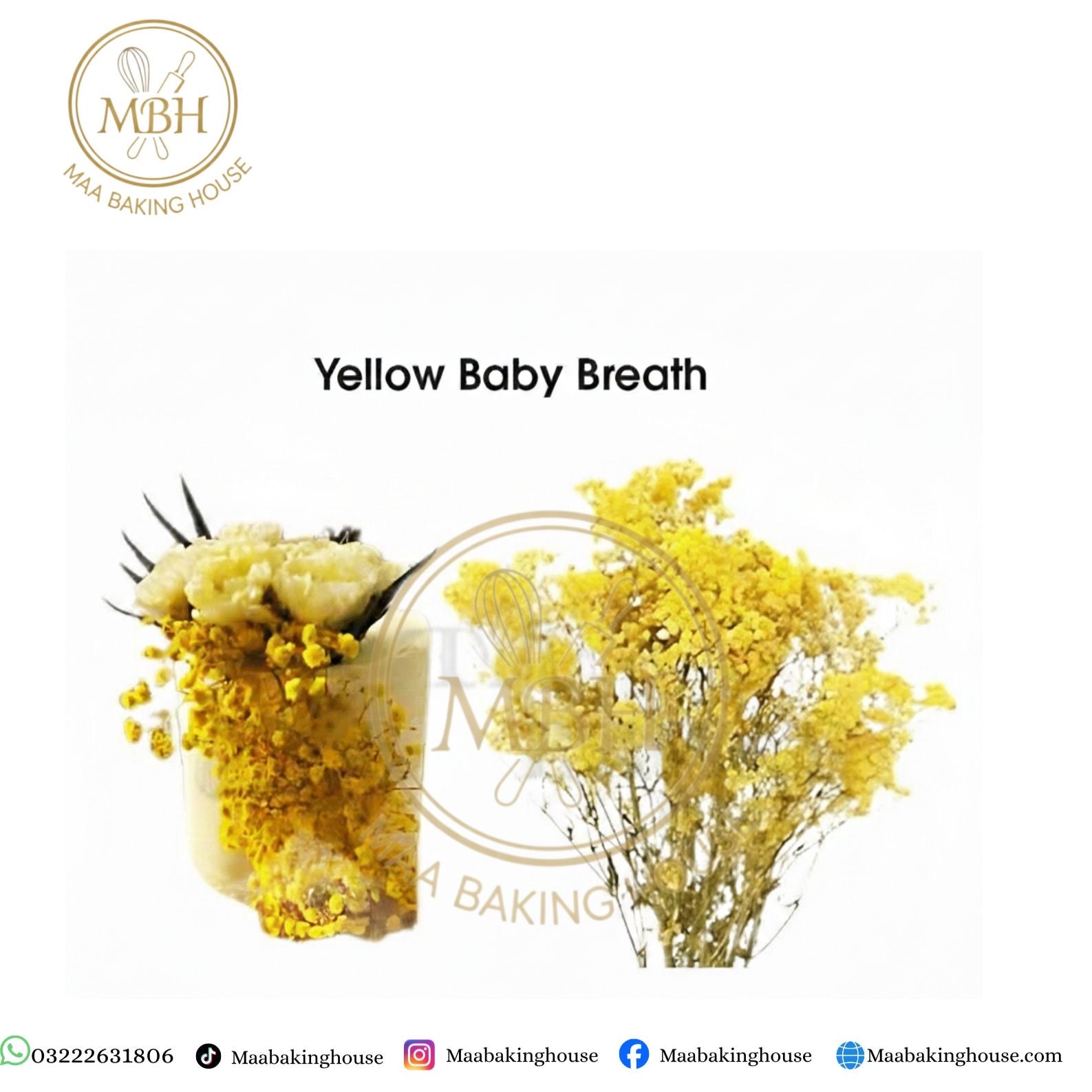 Yellow Baby Breath
