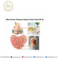 Mini Fomic Flowers Peach Color Pack Of 12
