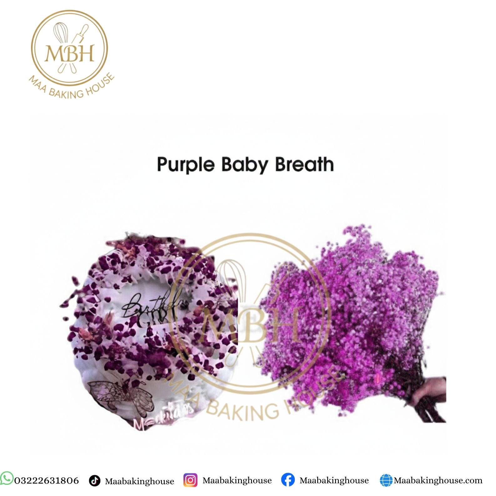 Purple Baby Breath