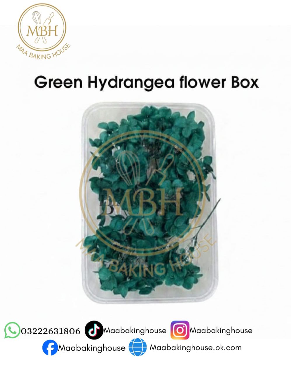 Green Hydrangea Flower Box