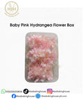 Baby Pink Hydrangea Flower Box