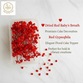 Dried Red Baby's Breath – Cake Decoration
