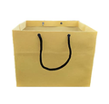 Cake & Cupcake Paper Bags 9x9x9