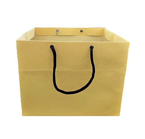 Cake & Cupcake Paper Bags 9x9x9